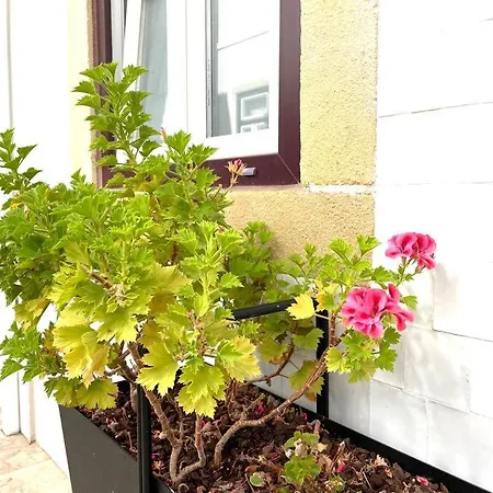 Apartamento Rosário 2 Lovely With Private Patio - By Homeful *